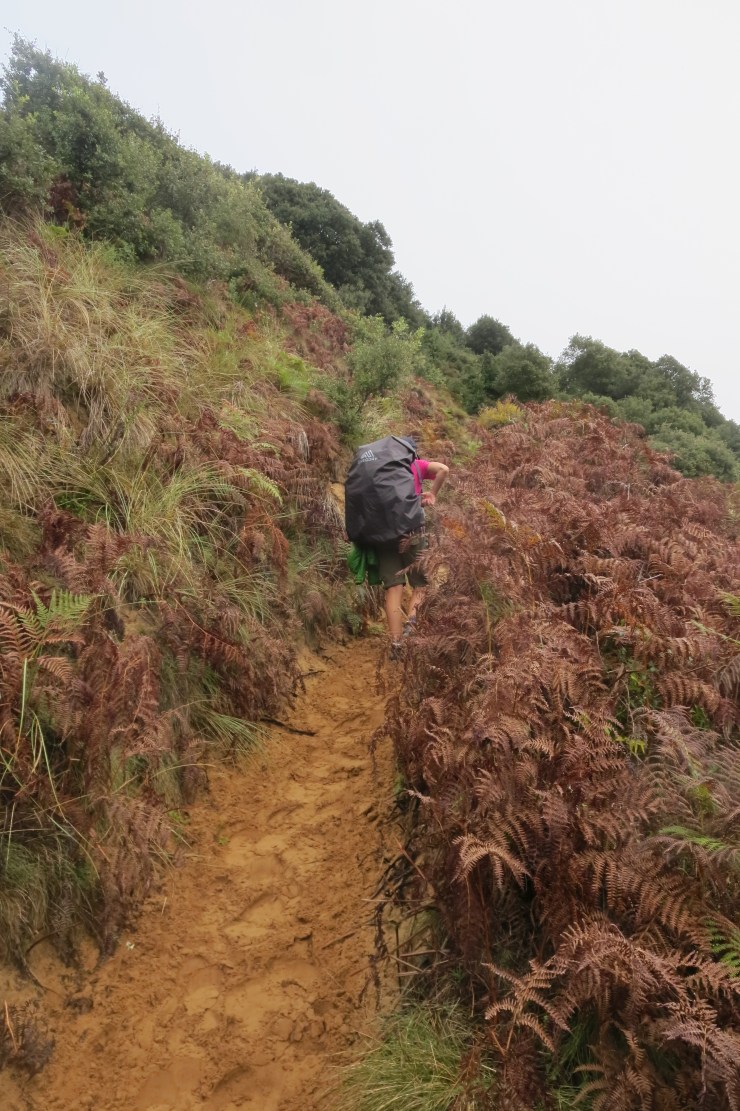 Camino - Day 4 - 006