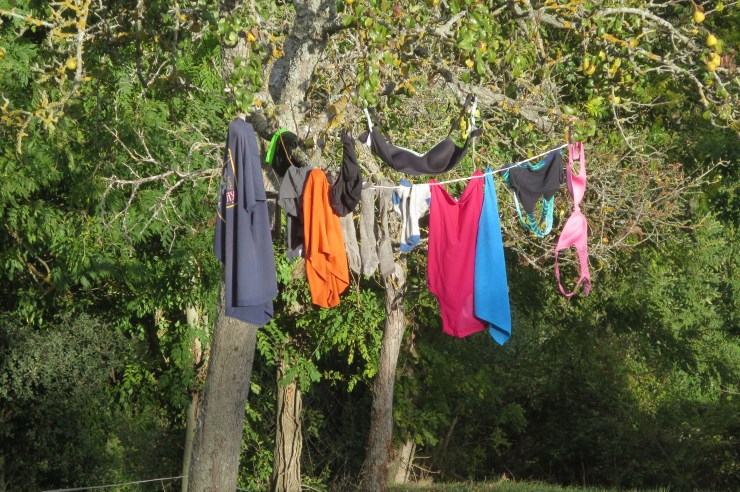 Camino - Day 7 - 027