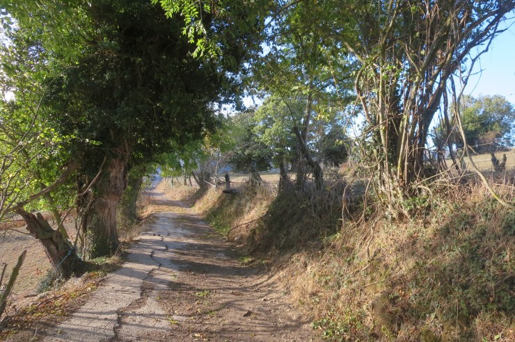 Camino - Day 8 - 009