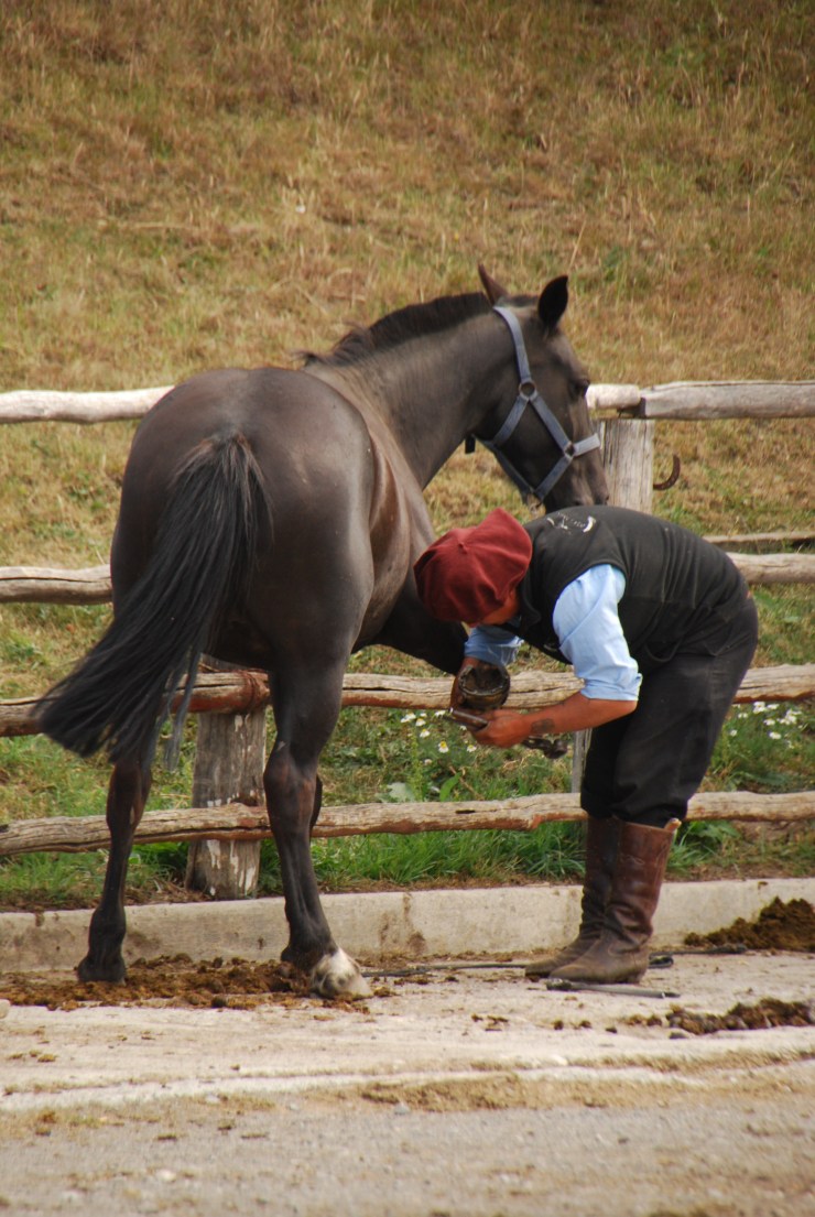 Patagonia Highlights - 081